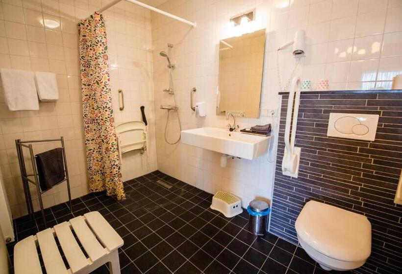 غرفة قياسية لذوى الاحتياجات الخاصة, De Reiziger