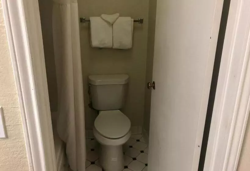 اتاق لوکس با تخت بزرگ, Americas Best Value Inn Denver