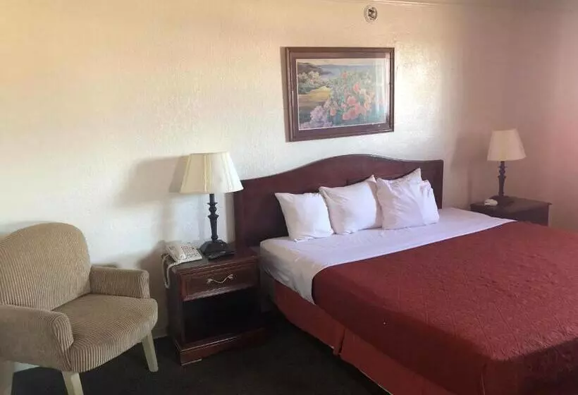 اتاق لوکس با تخت بزرگ, Americas Best Value Inn Denver