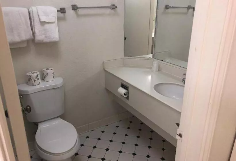 اتاق استاندارد با تخت بزرگ برای معلولان, Americas Best Value Inn Denver