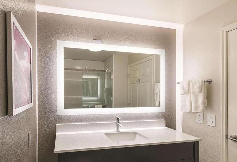 스탠다드 룸 킹사이즈 침대, La Quinta By Wyndham Arlington North 6 Flags Dr