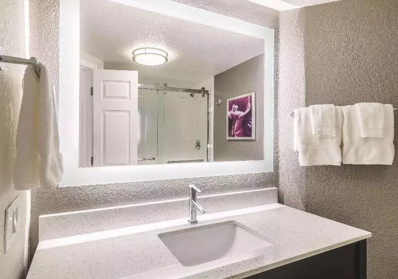 キングサイズベッドのデラックスルーム, La Quinta By Wyndham Austin Airport