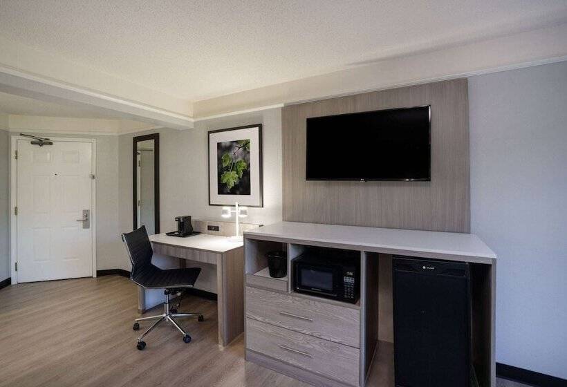 带2个双人床的标准工作室, La Quinta By Wyndham Birmingham Hoover