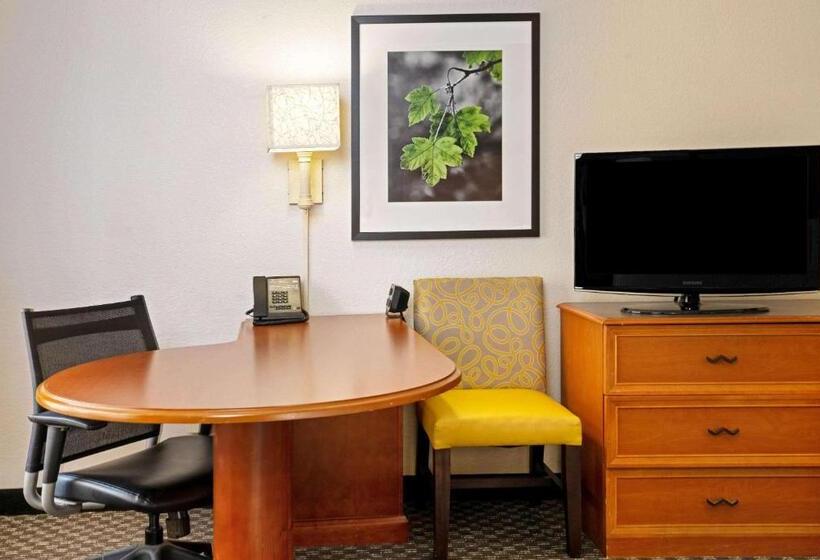 带大床的套房, La Quinta By Wyndham Houston West Park 10