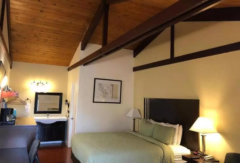 اتاق استاندارد با تخت بزرگ, Lombard Plaza Motel