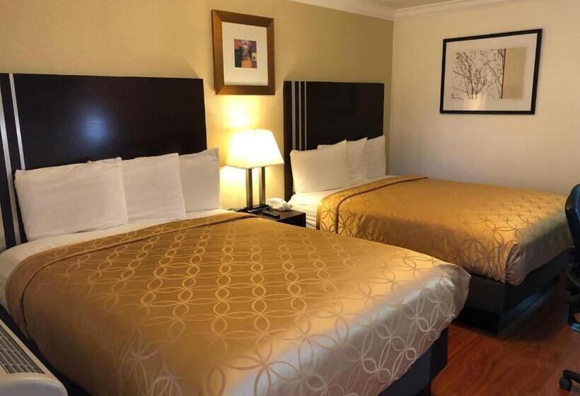 Chambre Standard, Lombard Plaza Motel