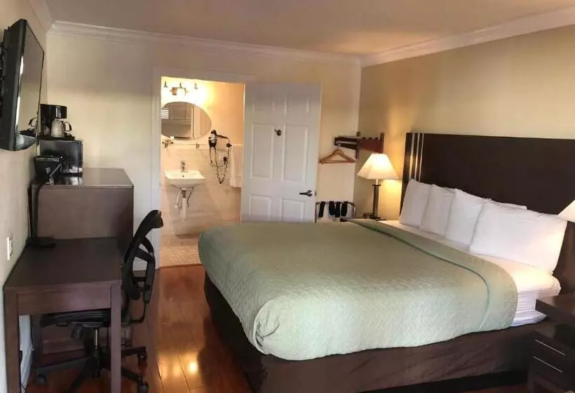 اتاق استاندارد با تخت بزرگ برای معلولان, Lombard Plaza Motel
