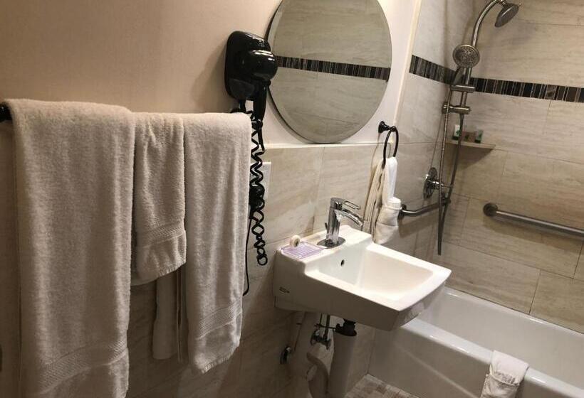 Chambre Standard Lit King Size Adaptée aux Personnes à Mobilité Réduite, Lombard Plaza Motel
