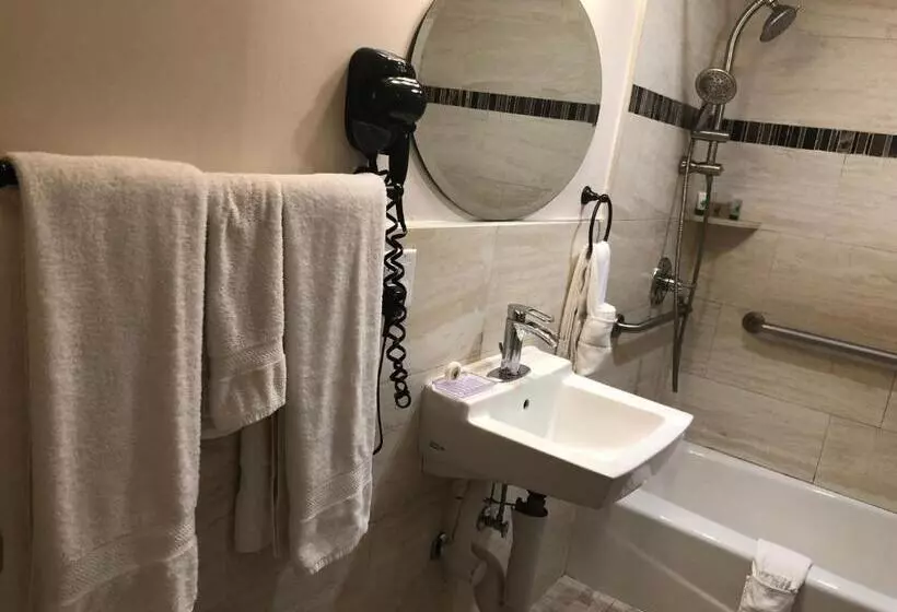 اتاق استاندارد با تخت بزرگ برای معلولان, Lombard Plaza Motel