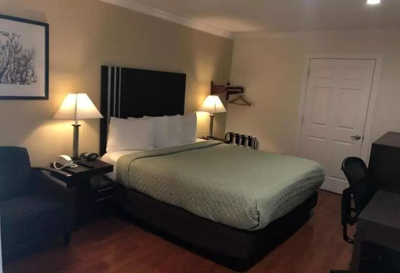 اتاق استاندارد با تخت بزرگ برای معلولان, Lombard Plaza Motel
