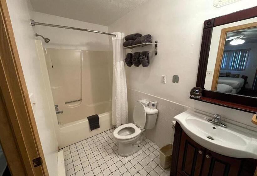 غرفه قياسيه سريرين مزدوجين, Lake Bluff Inn And Suites