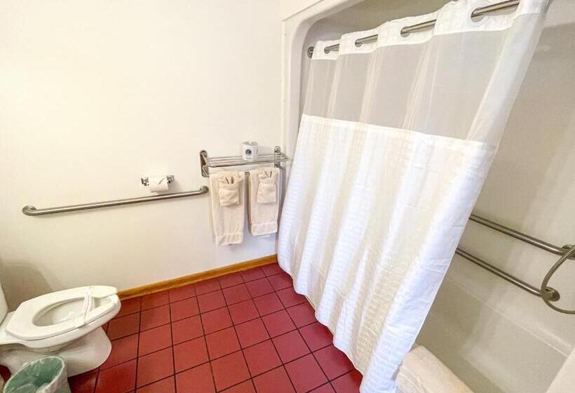 غرفة قياسية سرير كينج لذوى الإحتياجات الخاصة, Lake Bluff Inn And Suites