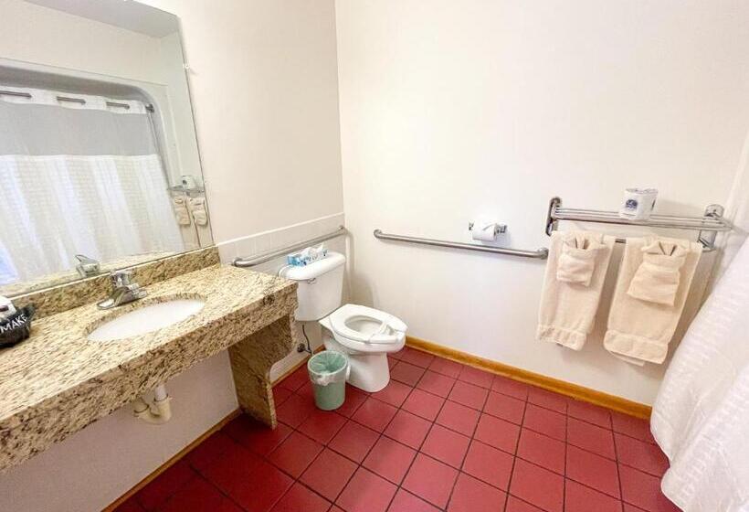 غرفة قياسية سرير كينج لذوى الإحتياجات الخاصة, Lake Bluff Inn And Suites