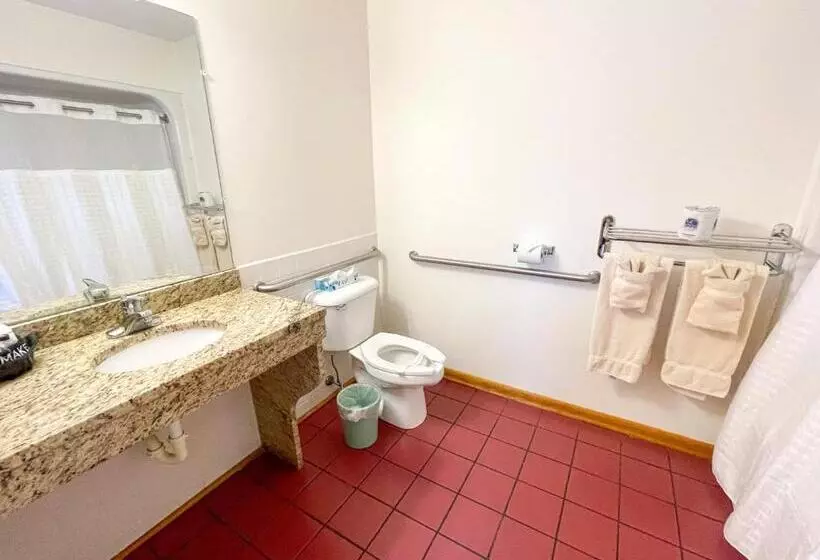 身障者適用キングサイズベッドルーム, Lake Bluff Inn And Suites