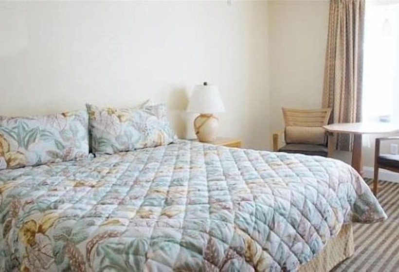 标准间, Lake Front