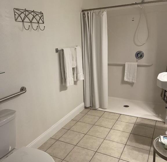 标准间带湖景, Lake Front