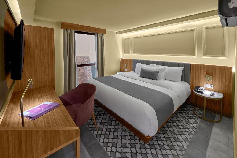 اتاق استاندارد با تخت بزرگ, City Centro By Marriott San Luis Potosi