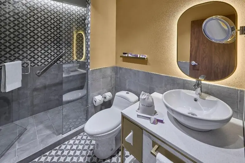 Standard-huone King-vuode, City Centro By Marriott San Luis Potosi