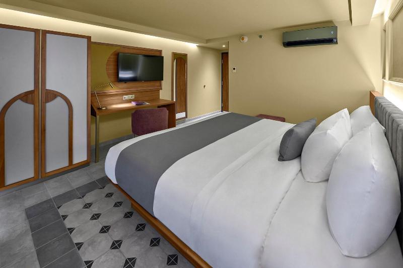 اتاق استاندارد با تخت بزرگ, City Centro By Marriott San Luis Potosi