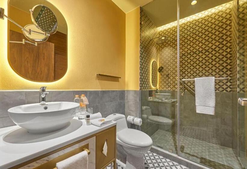 اتاق استاندارد با تخت بزرگ, City Centro By Marriott San Luis Potosi