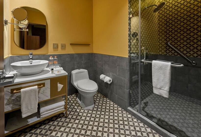 اتاق استاندارد با 2 تخت دوبل, City Centro By Marriott San Luis Potosi