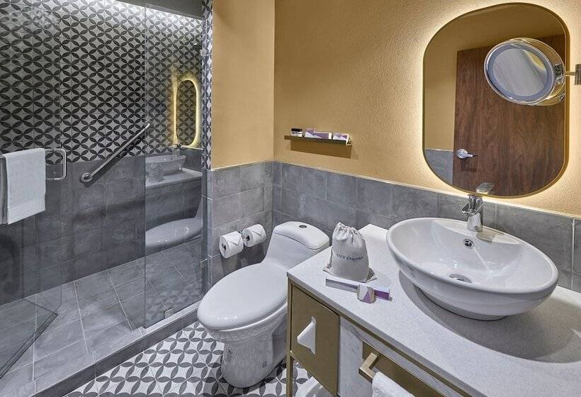 اتاق استاندارد با 2 تخت دوبل, City Centro By Marriott San Luis Potosi
