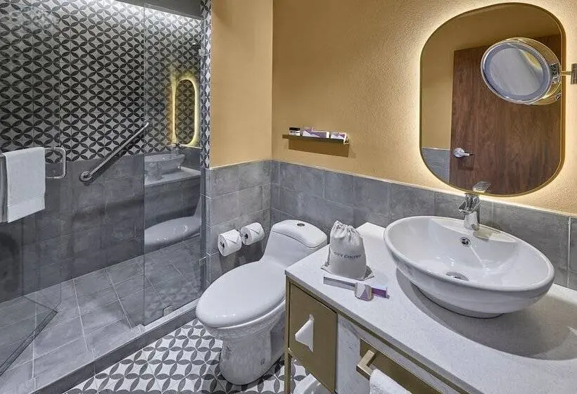 Superior-huone, City Centro By Marriott San Luis Potosi