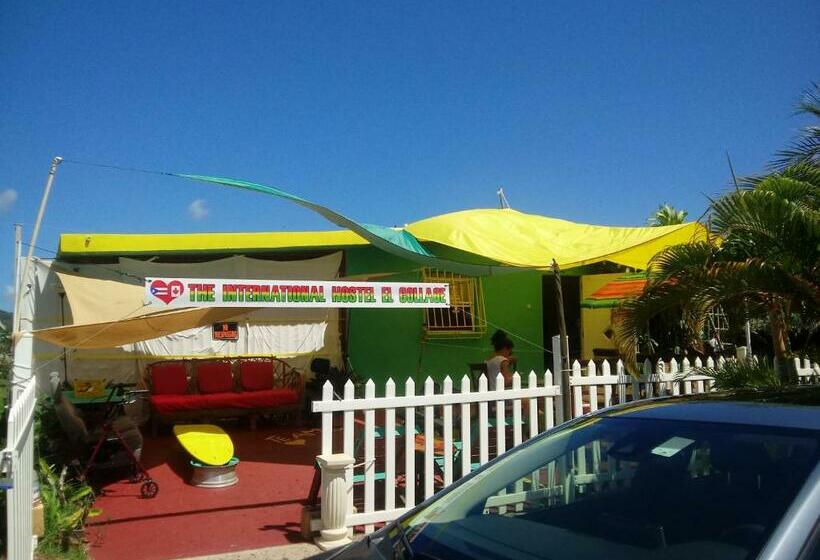 تختخواب در اتاق مشترک, Junzi