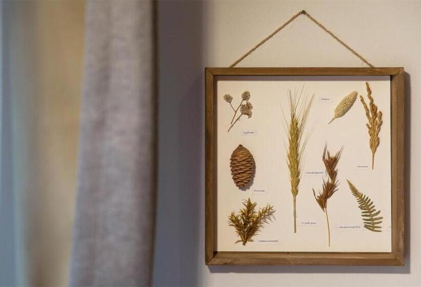 اتاق لوکس با تخت دو نفره بزرگ, Wander Hostel