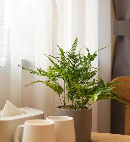 اتاق سوپریور با تخت دو نفره بزرگ, Wander Hostel