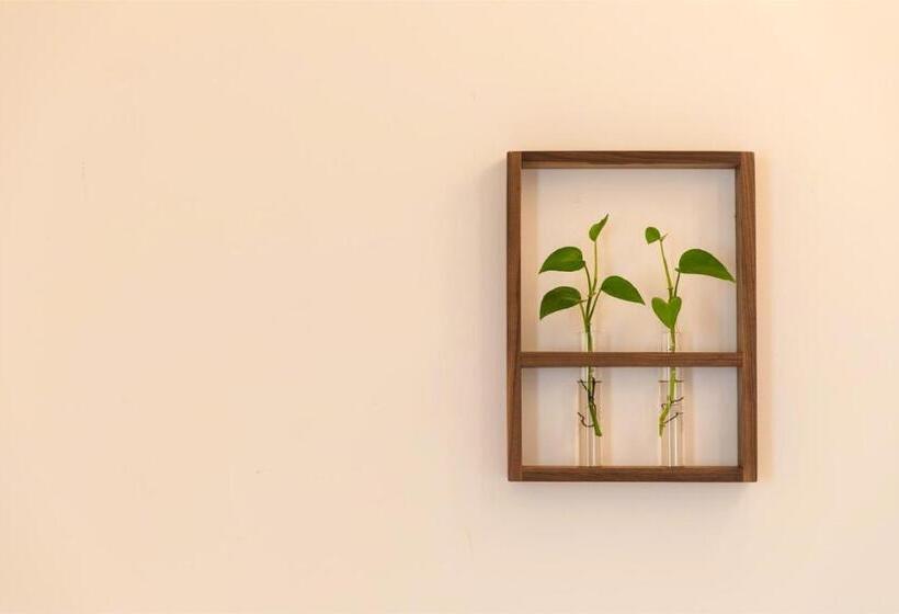 اتاق سوپریور با تخت دو نفره بزرگ, Wander Hostel