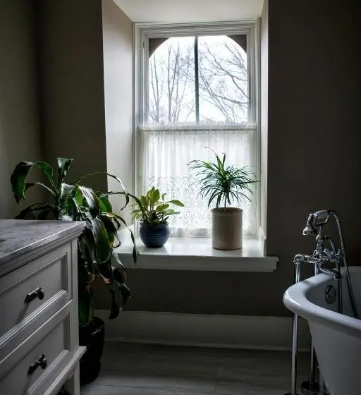 Sviitti, Maplehurst Manor Bed And Breakfast