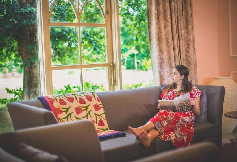 スーペリアースイート, Rose Amer