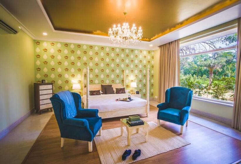 スーペリアースイート, Rose Amer