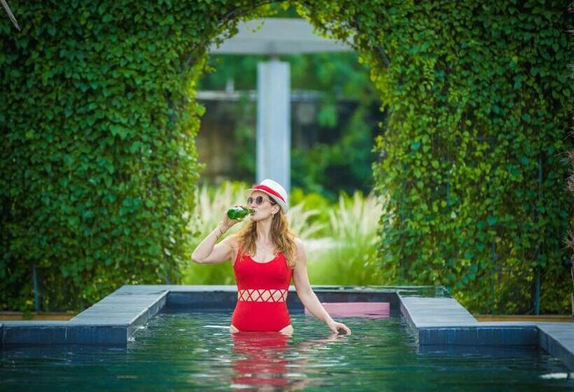 ガーデンビュースイート, Rose Amer