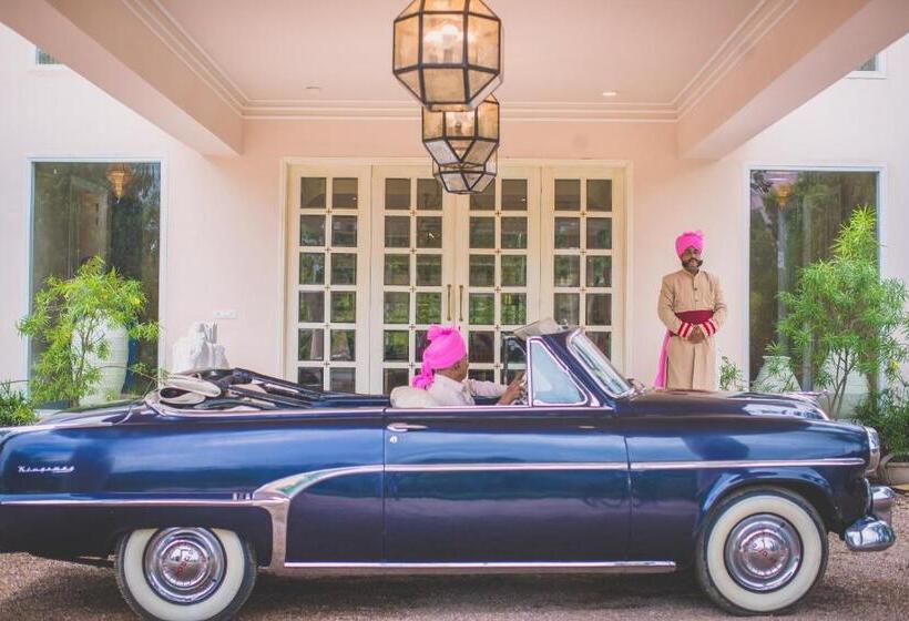 スイート, Rose Amer