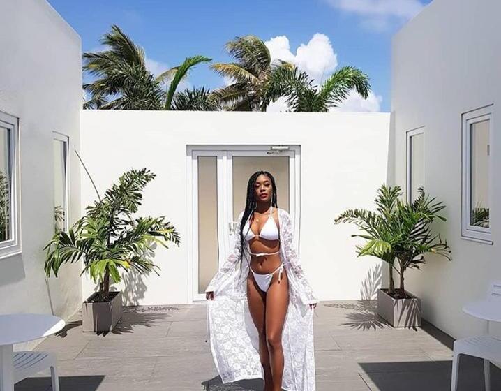 آپارتمان 1 خوابه, The Palm Leaf Apartments