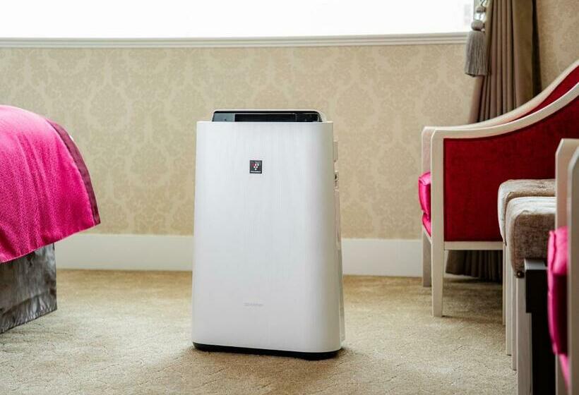 غرفة قياسية, Takarazuka