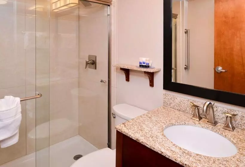 Deluxe Room Mountain View, Best Western Plus Peak Vista Inn & Suites
