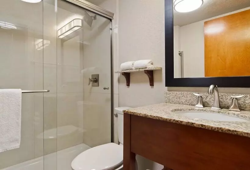 اتاق لوکس, Best Western Plus Peak Vista Inn & Suites
