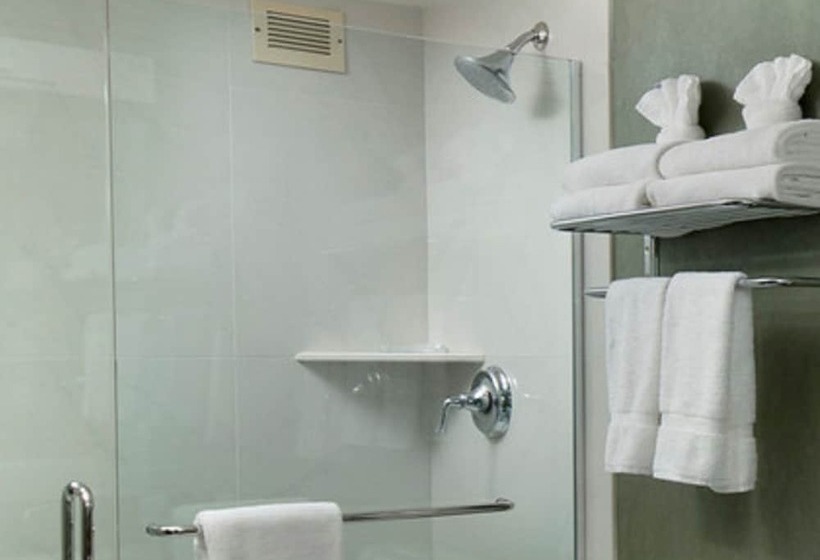 غرفة ديلوكس, Maple Tree Inn