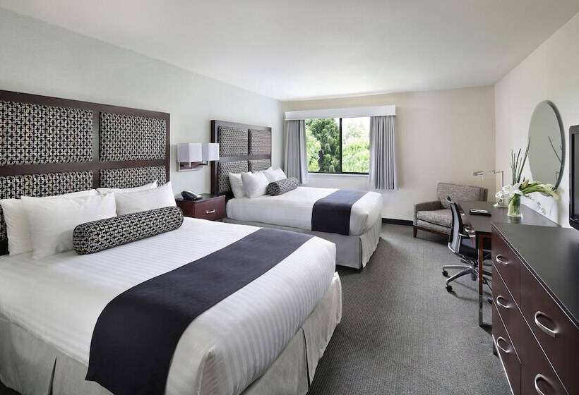 غرفة ديلوكس, Maple Tree Inn