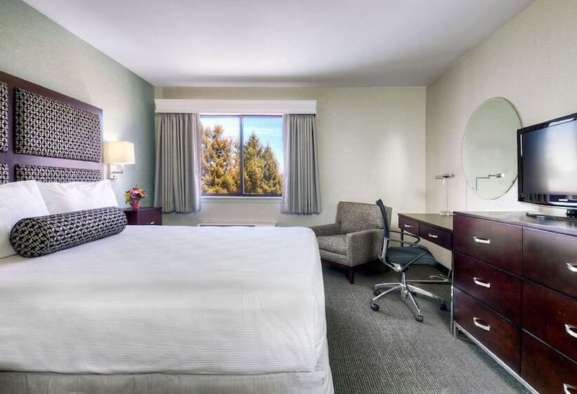 غرفة ديلوكس, Maple Tree Inn