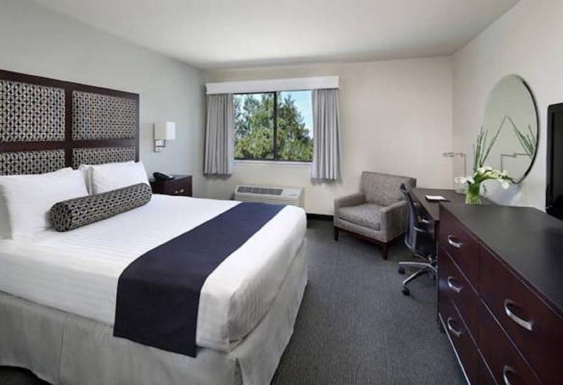 غرفة ديلوكس, Maple Tree Inn