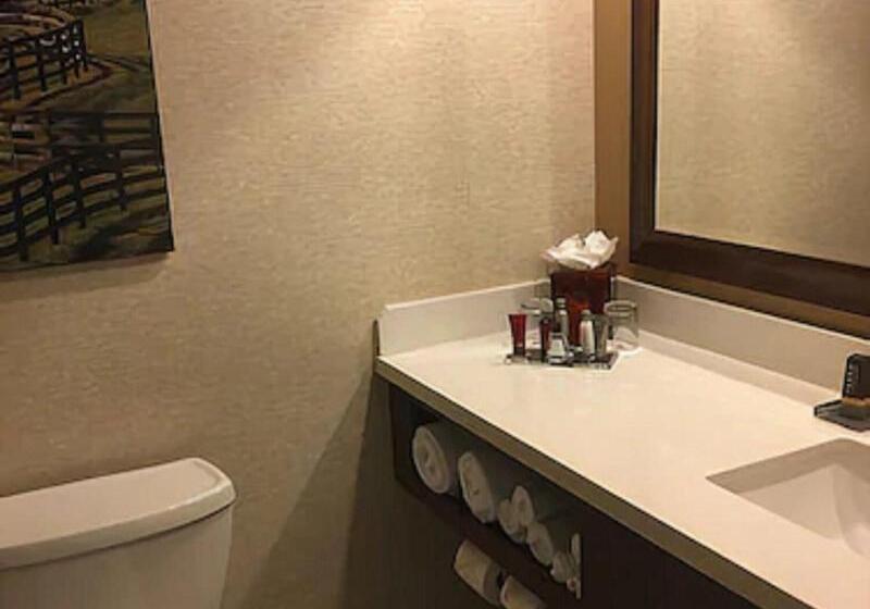 스탠다드 룸 킹사이즈 침대, Marriott Louisville East