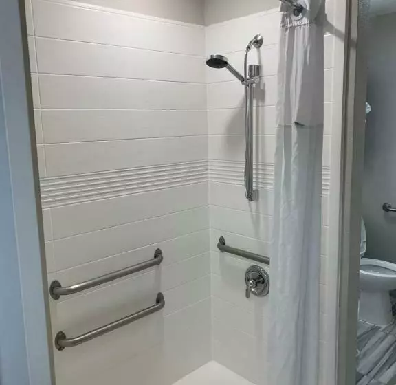 身障者適用スタンダードルーム, Microtel Inn By Wyndham Charlotte Airport