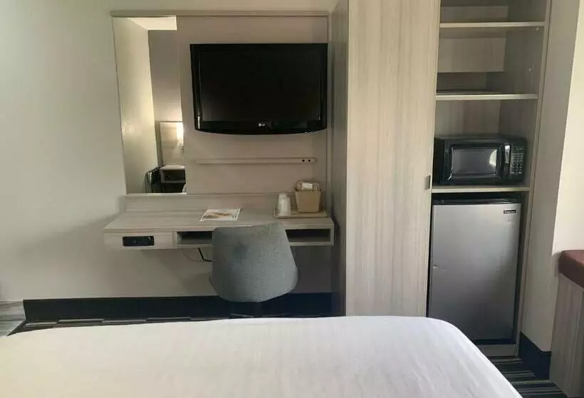 キングサイズベッドのデラックスルーム, Microtel Inn By Wyndham Charlotte Airport