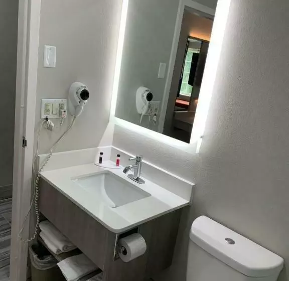 キングサイズベッドのデラックスルーム, Microtel Inn By Wyndham Charlotte Airport