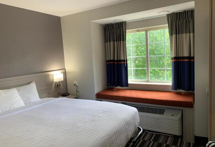 带大床的豪华间, Microtel Inn By Wyndham Charlotte Airport