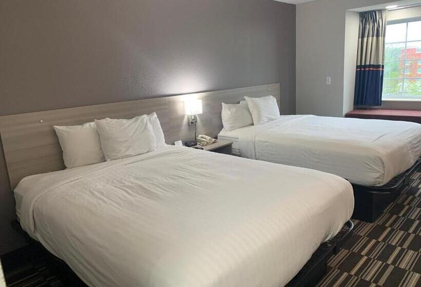 标准间, Microtel Inn By Wyndham Charlotte Airport